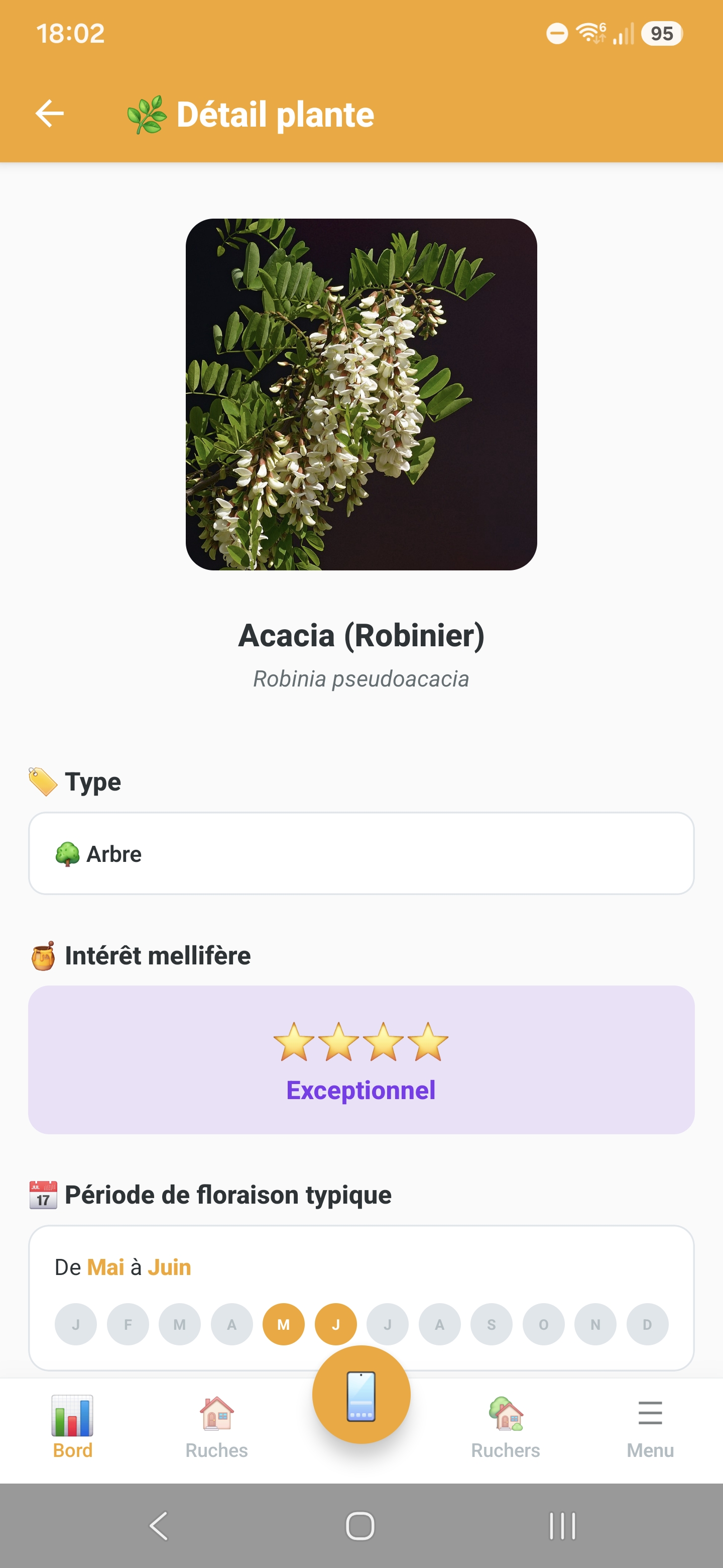 Détails d'une plante mellifère dans Api'Track