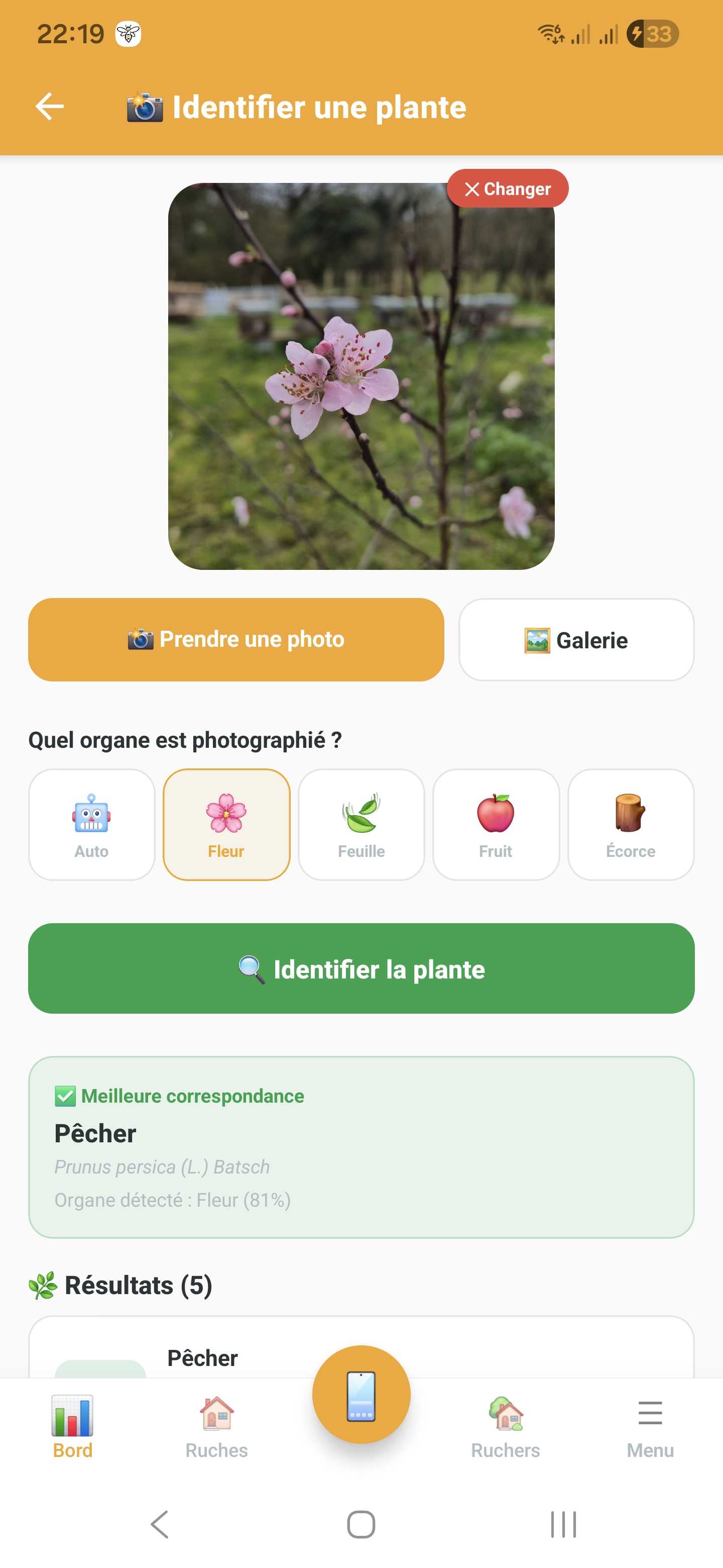 Identification d'une plante par photo dans Api'Track