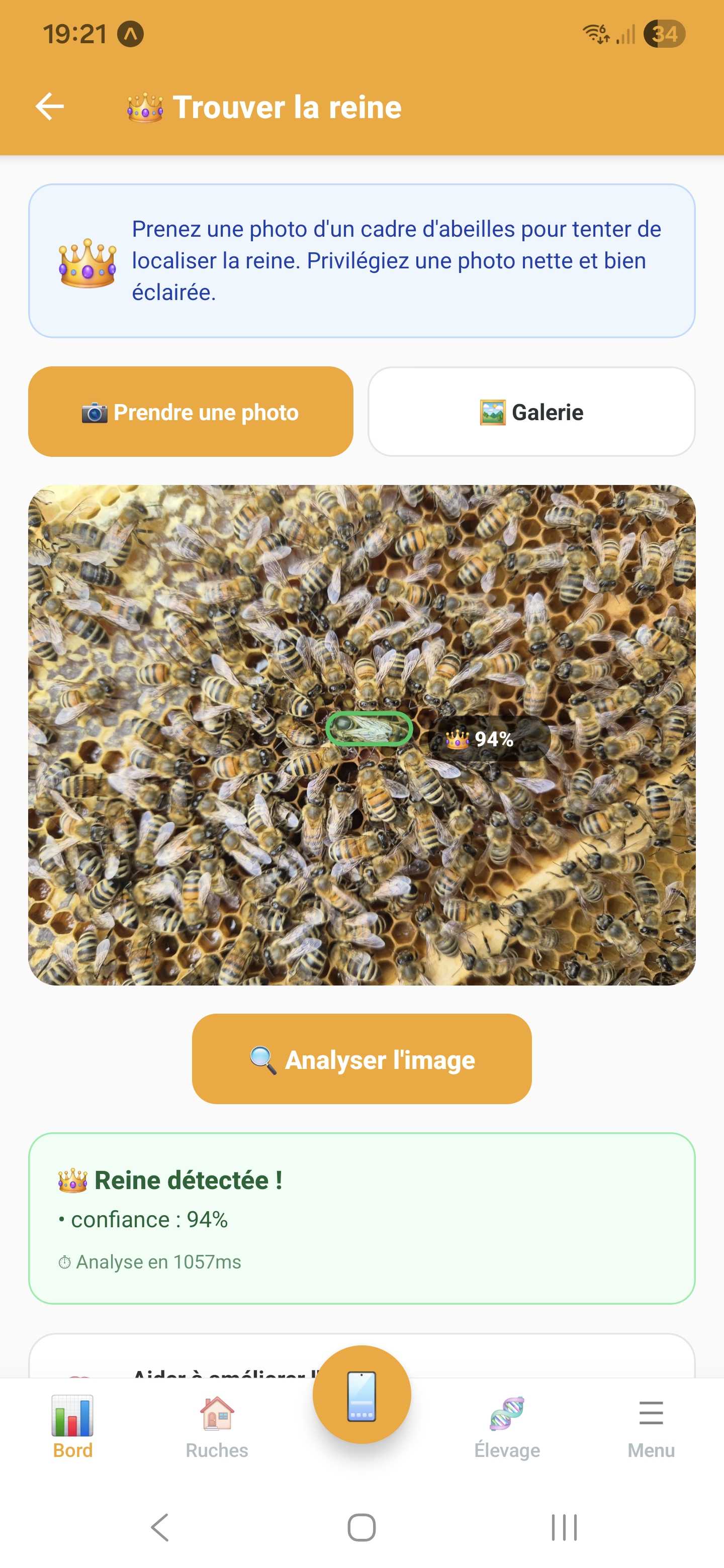 Reine détectée par l'intelligence artificielle sur la photo d'un cadre dans l'application apicole Api'Track