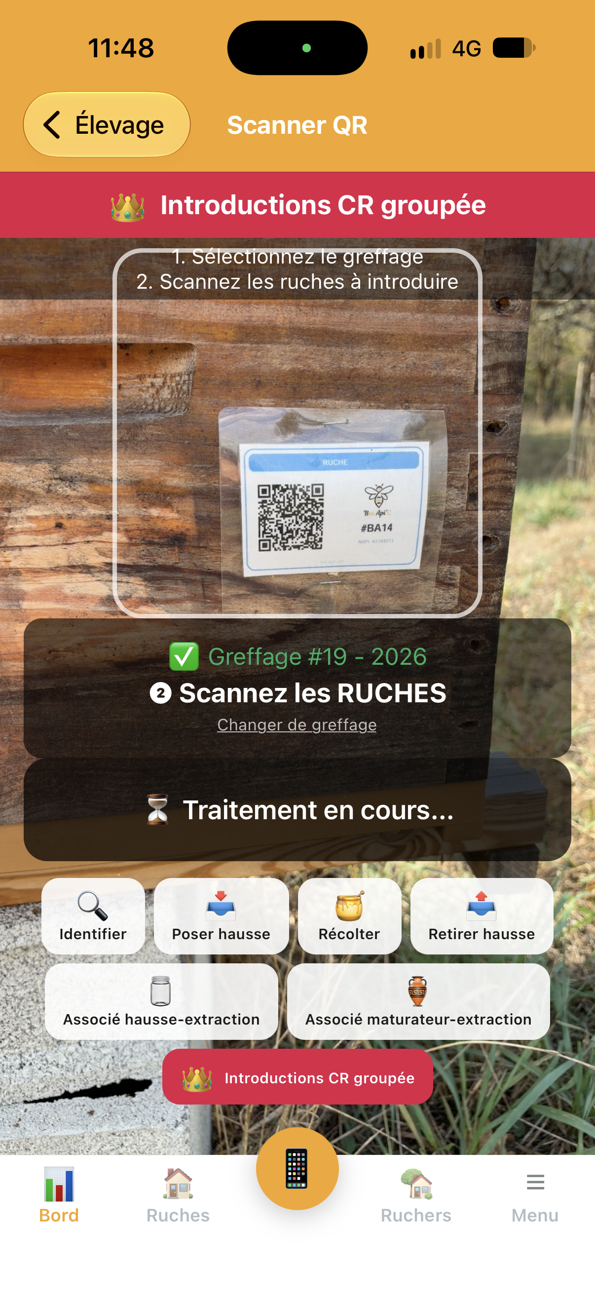 Introduction de cellules royales par scan groupé dans Api'Track
